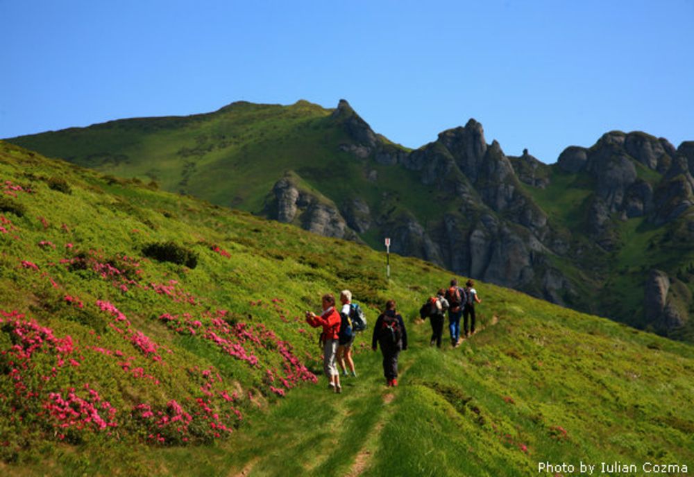 Anchetă în cazul unei profesoare acuzate că a lovit mai mulți copii într-o excursie