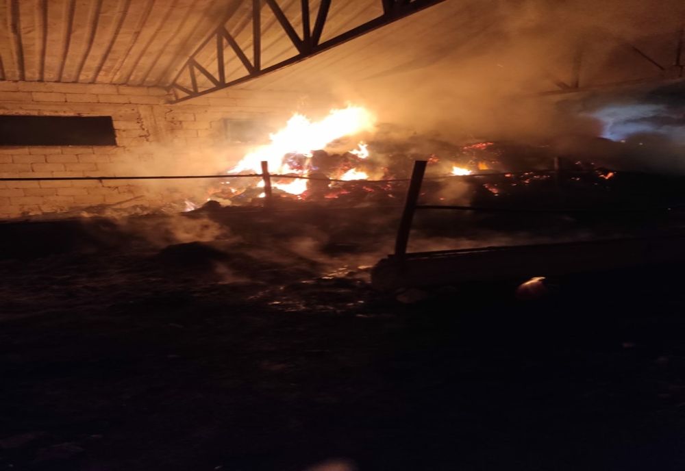 Incendiu stins după 6 ore. Zeci de rațe și iepuri au pierit în flăcări