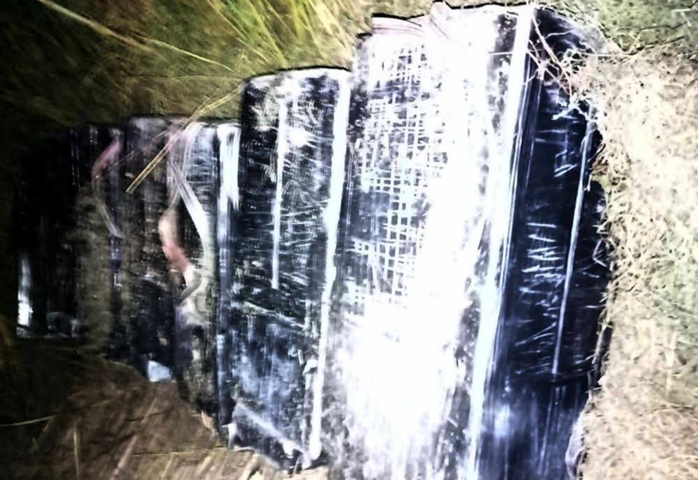 Peste 12.000 de pachete de ţigări de contrabandă descoperite de poliţiştii botoşăneni