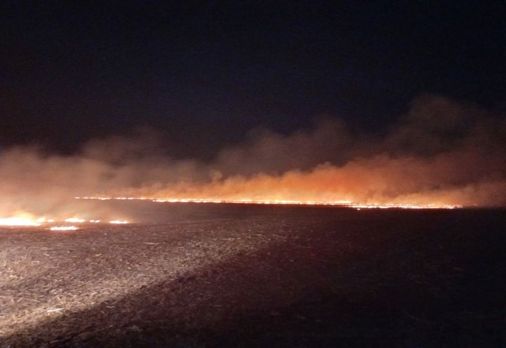 Patru incendii de vegetație uscată în mai puțin de patru ore