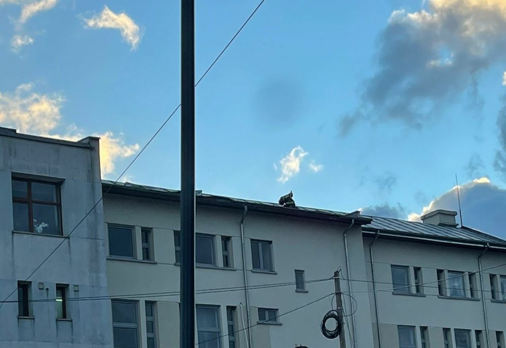 Vântul puternic a avariat mai multe acoperișuri din Botoșani