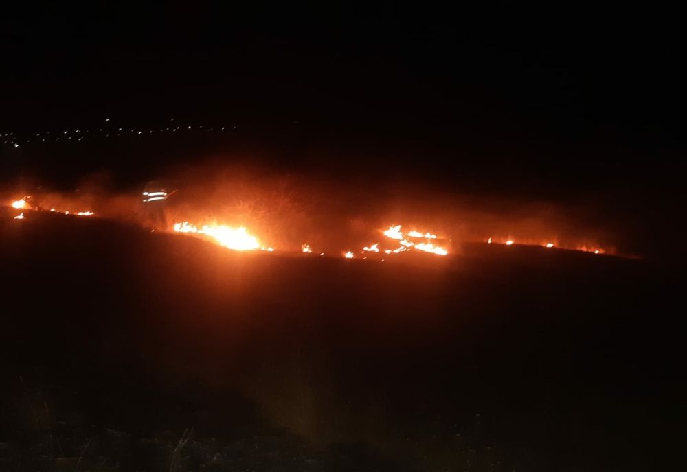 35 de hectare de vegetație au ars duminică în județul Botoșani