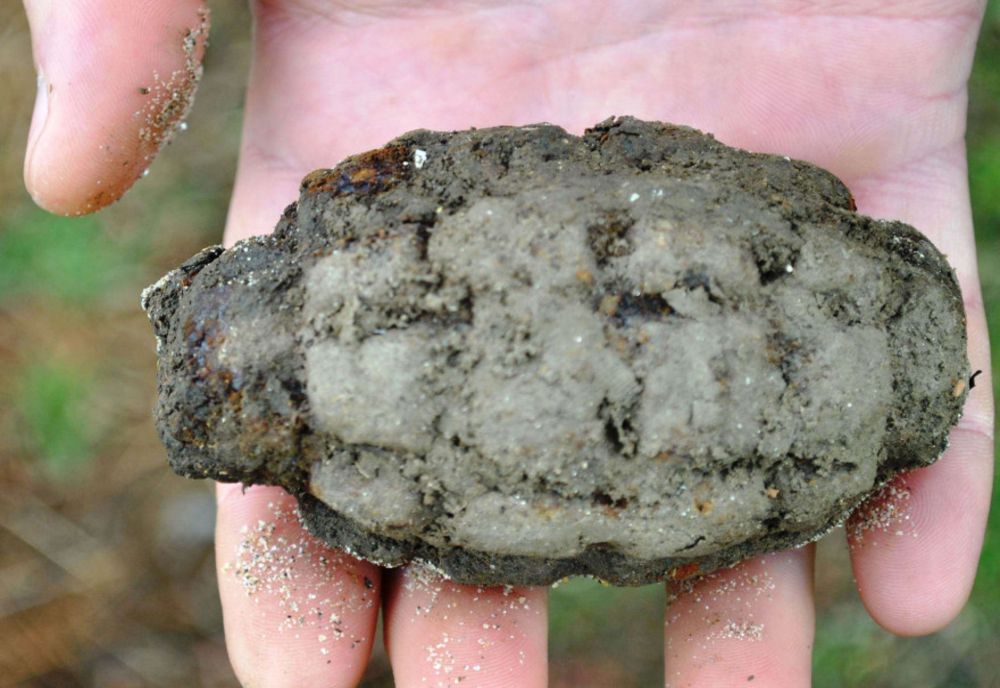 A găsit o grenadă în timp ce săpa în grădină. Obiectul de muniție era perfect funcțional