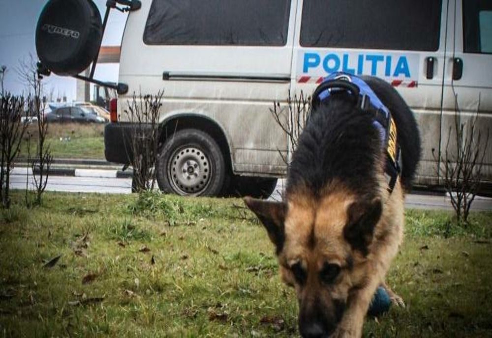 Mobilizare impresionantă pentru a găsi un bătrân 