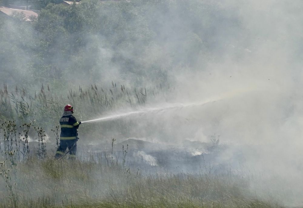 O stână a fost la un pas să ia foc din cauza unui incendiu de vegetație