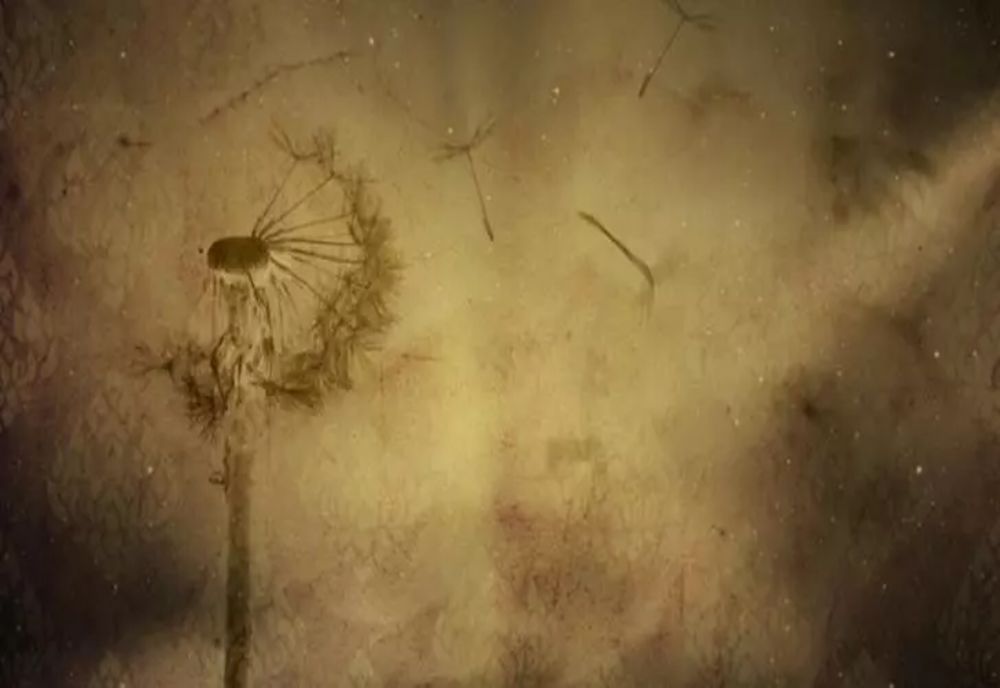 Ce înseamnă când visezi oameni morți. Ce spun duhovnicii