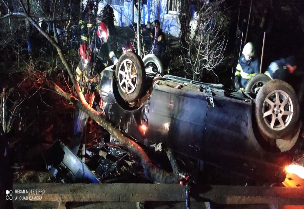 A aterizat cu mașina într-o curte, după ce a doborât un stâlp și doi copaci