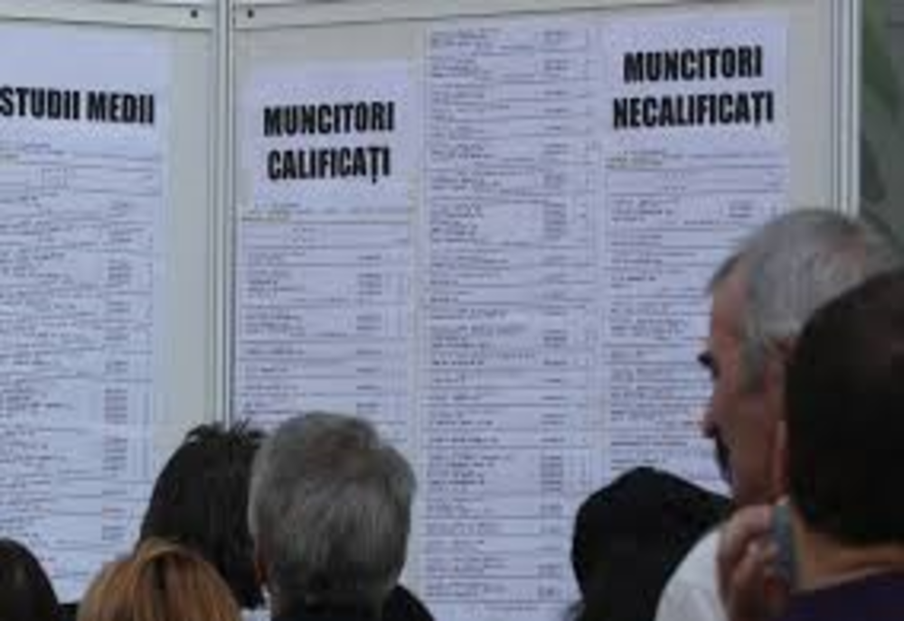 Șomerii botoșăneni au la dispoziție peste 400 de locuri de muncă
