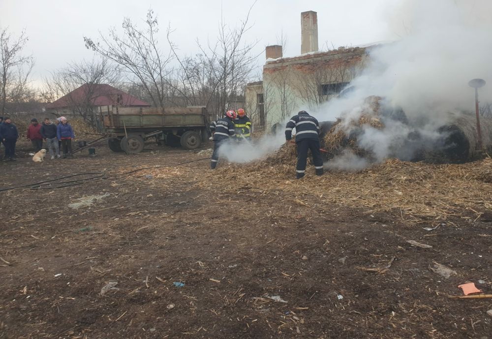 Patru tone de furaje mistuite de un incendiu care amenința să cuprindă și un adăpost pentru vaci și viței