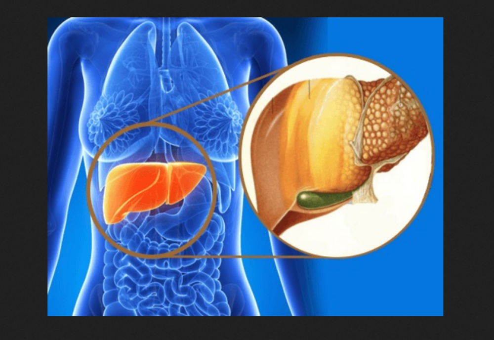 Cum să menținem un ficat sănătos