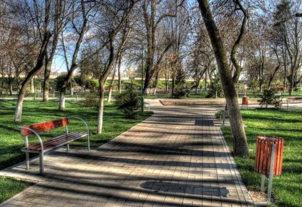 Motivul pentru care e recomandat să-ți începi ziua cu o plimbare