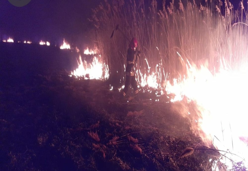 Incendiu de vegetație pe un câmp de lângă Vlăsinești! Intervenția pompierilor a fost îngreunată de vânt