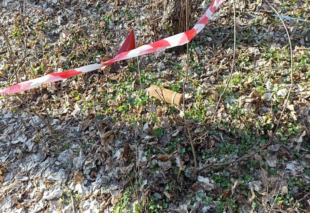 Descoperire periculoasă într-o pădure din Botoșani