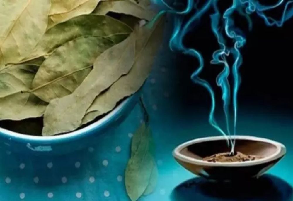 Ce se întâmplă dacă arzi frunze de dafin în casă. Efectele uimitoare asupra sănătății