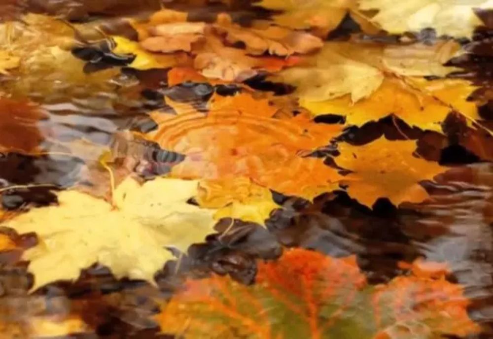 VREMEA 12 SEPTEMBRIE. TEMPERATURI ÎN SCĂDERE. REVIN PLOILE ȘI VÂNTUL ÎN MAI MULTE REGIUNI