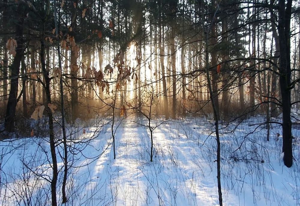 Vremea 30 decembrie. Temperaturi peste medie, dar nu scăpăm de precipitații