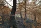 Piromanul de la Corlăteni a fost reținut. Paguba creată este de 250.000 lei