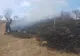 Au vrut să ardă resturile de vegetație și au provocat incendii