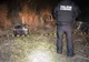 Focuri de armă la frontieră. Polițiștii au confiscate țigări în valoare de 53.000 lei