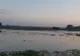Pericolul de inundații a trecut. Nivelul Prutului a scăzut