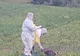 Noi măsuri în lupta cu pesta porcină