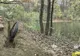 Bani alocați pentru reabilitarea drumului spre lacul cu nuferi