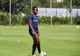 Ongenda poate ajunge în Anglia