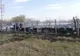 A vrut să ardă resturile vegetale și a rămas fără 32 de stupi cu albine