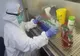 Raportare greșită făcută de DSP Botoșani. Sunt 19 cadre medicale infectate cu COVID 19