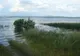 S-a depășit cota de inundație pe Prut. Peste o mie de animale au fost evacuate VIDEO