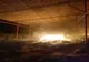 13 incendii la depozitele de furaje în ultimele două luni