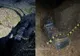 Ţigări de contrabandă de peste 70.000 de lei, descoperite într-o râpă din pădurea Teioasa