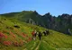 Anchetă în cazul unei profesoare acuzate că a lovit mai mulți copii într-o excursie