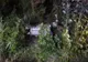 Accident pe DN 17, în Șieu Măgheruș! Patru botoșăneni au ajuns la spital, unul fiind în stare foarte gravă