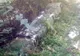 Ţigări de contrabandă ascunse în vegetaţia de la malul Prutului 
