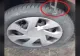 VIDEO – Ce pun braconierii din Botoșani pe drum ca să îi încetinească pe jandarmii care îi urmăresc – Imagini revoltătoare