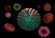 Bilanț coronavirus 6 ianuarie: 6.018 cazuri noi și 44 decese