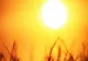 Prognoza meteo 28 iunie. Caniculă peste România - temperaturile urcă la 36 de grade