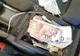 Trei persoane arestate pentru punerea în circulație de bancnote false