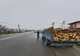 Sucevean prins transportând material lemnos fără acte de proveniență