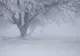 Temperaturi extreme în România. Zonele lovite de ger și viscol - avertisment ANM