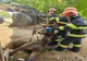 Cal, salvat de pompieri după ce a căzut într-o groapă din gospodăria stăpânului