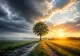 Prognoza ANM pe 4 săptămâni: temperaturi mai ridicate decât cele normale în luna septembrie. Când vine toamna