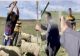 Scena HALUCINANTE. Ciobanii au sărit cu bâtele la polițiști și inspectori ca să-și apere oile care pășteau ILEGAL -VIDEO