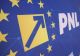 Greii din PNL își anunță susținerea pentru Adrian Veștea
